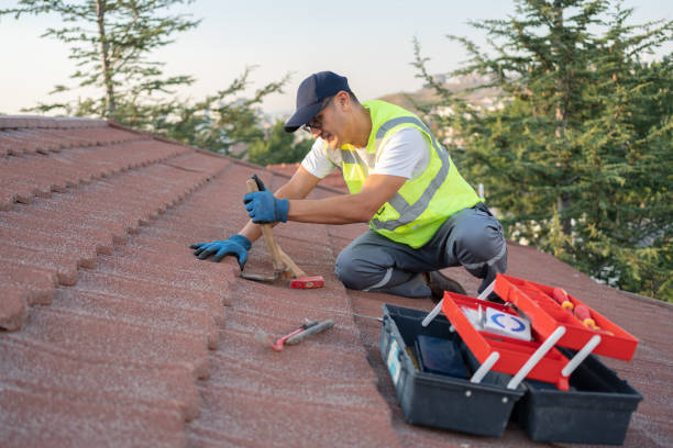 Best Roof Repair Services  in Tsaile, AZ