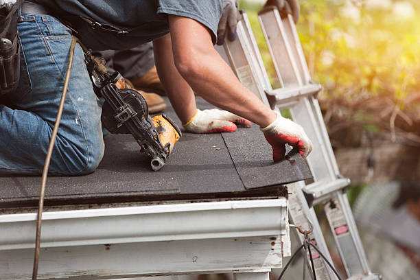 Best Roof Gutter Cleaning  in Tsaile, AZ